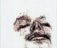 salvatore_difranco